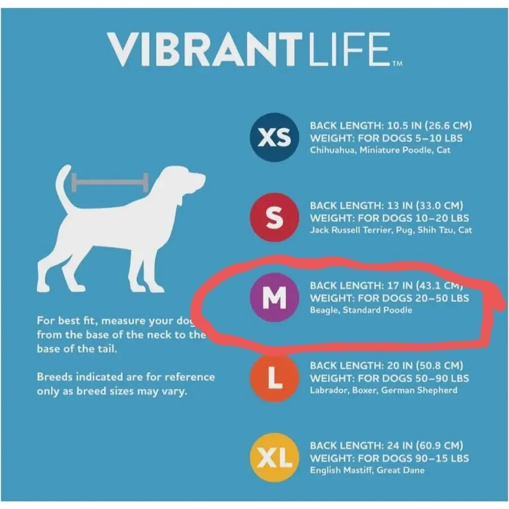 NEW! Vibrant Life Christmas Santa Claus Pet Dog Sweater Costume Size M 20-50lb